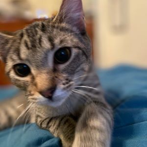 Meet your Posher, Danielle